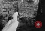 Standbild Kakadus Philadelphia Pennsylvania USA, 1930, aus Sekunde 55 historischem Filmmaterial Videoclip 65675042804