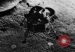 Standbild Lunar Exkursion Modul 1 oder LM-1 für Apollo United States USA, 1967, aus Sekunde 7 historischem Filmmaterial Videoclip 65675042818