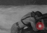 Image of United States Navy frogmen New York United States USA, 1967, second 28 stock footage video 65675042820
