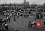 Immagine di Grand National corsa di cavalli Liverpool England, 1963, secondo 9 filmato di repertorio 65675042828