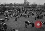 Immagine di Grand National corsa di cavalli Liverpool England, 1963, secondo 10 filmato di repertorio 65675042828