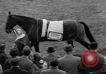 Immagine di Grand National corsa di cavalli Liverpool England, 1963, secondo 11 filmato di repertorio 65675042828