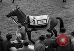 Immagine di Grand National corsa di cavalli Liverpool England, 1963, secondo 14 filmato di repertorio 65675042828