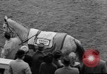 Immagine di Grand National corsa di cavalli Liverpool England, 1963, secondo 19 filmato di repertorio 65675042828