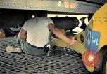 Image of 500lb bombs Vietnam, 1965, second 13 stock footage video 65675042872
