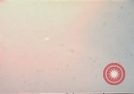 Image of United States B-57B aircraft Vietnam, 1965, second 8 stock footage video 65675042873