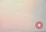 Image of United States B-57B aircraft Vietnam, 1965, second 9 stock footage video 65675042873