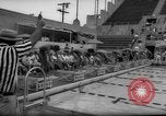 Standbild Schwimmen erfüllen Los Angeles California USA, 1966, aus Sekunde 54 historischem Filmmaterial Videoclip 65675042881