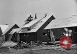 Image maisons de banlieue New York United States USA, 1950, de la seconde 32 séquences d'archives historiques vidéo 65675042888