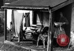 Standbild Slums United States USA, 1946, aus Sekunde 17 historischem Filmmaterial Videoclip 65675042890