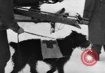 Standbild Avalanche rescue Bludenz Österreich, 1954, aus Sekunde 24 historischem Filmmaterial Videoclip 65675042922