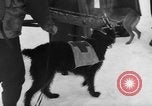 Standbild Avalanche rescue Bludenz Österreich, 1954, aus Sekunde 25 historischem Filmmaterial Videoclip 65675042922