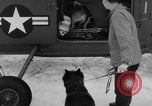 Standbild USA H-19 Hubschrauber Bludenz Österreich, 1954, aus Sekunde 41 historischem Filmmaterial Videoclip 65675042929