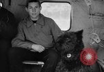 Standbild USA H-19 Hubschrauber Bludenz Österreich, 1954, aus Sekunde 53 historischem Filmmaterial Videoclip 65675042929