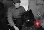 Standbild USA H-19 Hubschrauber Bludenz Österreich, 1954, aus Sekunde 54 historischem Filmmaterial Videoclip 65675042929