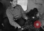 Standbild USA H-19 Hubschrauber Bludenz Österreich, 1954, aus Sekunde 58 historischem Filmmaterial Videoclip 65675042929