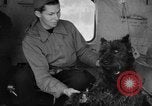 Standbild USA H-19 Hubschrauber Bludenz Österreich, 1954, aus Sekunde 59 historischem Filmmaterial Videoclip 65675042929