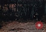 Image of colored smoke grenades United States USA, 1943, second 4 stock footage video 65675042931