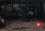 Image of colored smoke grenades United States USA, 1943, second 5 stock footage video 65675042931