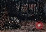 Image of colored smoke grenades United States USA, 1943, second 7 stock footage video 65675042931
