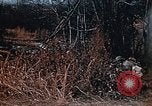 Image of colored smoke grenades United States USA, 1943, second 12 stock footage video 65675042931