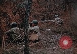 Image of colored smoke grenades United States USA, 1943, second 20 stock footage video 65675042931