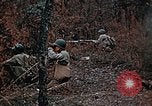 Image of colored smoke grenades United States USA, 1943, second 21 stock footage video 65675042931