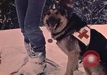 Image of rescue workers Oberstdorf Germany, 1970, second 41 stock footage video 65675042933