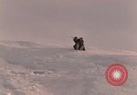 Image of Operation Deep Freeze Antarctica, 1962, second 34 stock footage video 65675042935