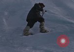 Image of Operation Deep Freeze Antarctica, 1962, second 39 stock footage video 65675042936