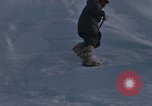 Image of Operation Deep Freeze Antarctica, 1962, second 40 stock footage video 65675042936