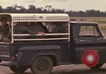 Immagine di Quarantesimo Aerospace Rescue and Recovery Squadron Della Thailandia, 1972, secondo 56 filmato di repertorio 65675042951