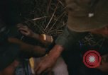 Immagine di 1 Australian Task Force Il Vietnam, 1968, secondo 9 filmato di repertorio 65675042953
