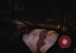 Immagine di 1 Australian Task Force Il Vietnam, 1968, secondo 20 filmato di repertorio 65675042953