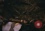Immagine di 1 Australian Task Force Il Vietnam, 1968, secondo 28 filmato di repertorio 65675042953