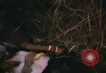 Immagine di 1 Australian Task Force Il Vietnam, 1968, secondo 29 filmato di repertorio 65675042953
