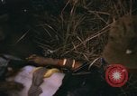 Immagine di 1 Australian Task Force Il Vietnam, 1968, secondo 30 filmato di repertorio 65675042953