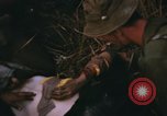 Immagine di 1 Australian Task Force Il Vietnam, 1968, secondo 35 filmato di repertorio 65675042953