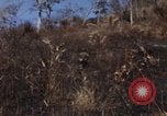 Image of 1st Australian task force South Vietnam, 1968, second 4 stock footage video 65675042954