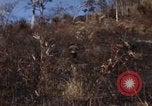 Image of 1st Australian task force South Vietnam, 1968, second 5 stock footage video 65675042954