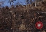 Image of 1st Australian task force South Vietnam, 1968, second 6 stock footage video 65675042954