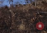 Image of 1st Australian task force South Vietnam, 1968, second 7 stock footage video 65675042954