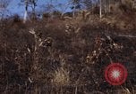 Image of 1st Australian task force South Vietnam, 1968, second 8 stock footage video 65675042954