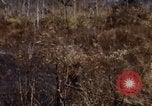 Image of 1st Australian task force South Vietnam, 1968, second 11 stock footage video 65675042954