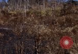 Image of 1st Australian task force South Vietnam, 1968, second 12 stock footage video 65675042954