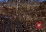 Image of 1st Australian task force South Vietnam, 1968, second 13 stock footage video 65675042954
