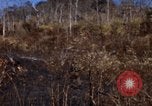 Image of 1st Australian task force South Vietnam, 1968, second 15 stock footage video 65675042954