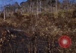 Image of 1st Australian task force South Vietnam, 1968, second 16 stock footage video 65675042954