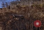 Image of 1st Australian task force South Vietnam, 1968, second 19 stock footage video 65675042954