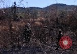 Image of 1st Australian task force South Vietnam, 1968, second 21 stock footage video 65675042954